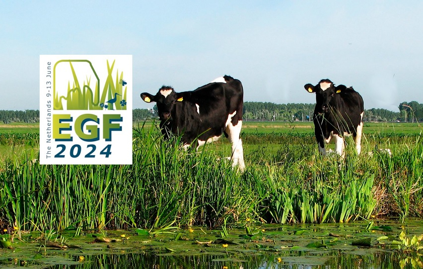 egf_24