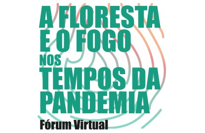 flortesta_fogo