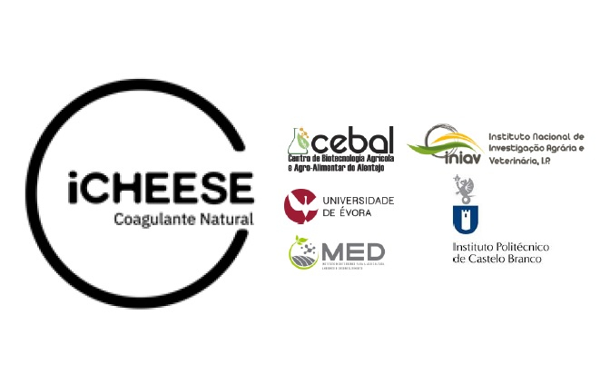 iCheese