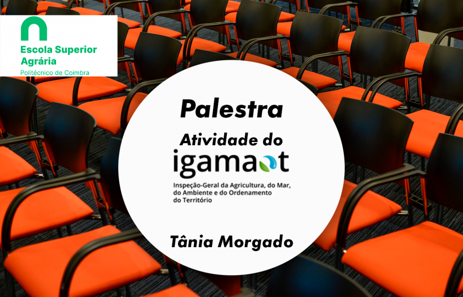 igamaot_palestra