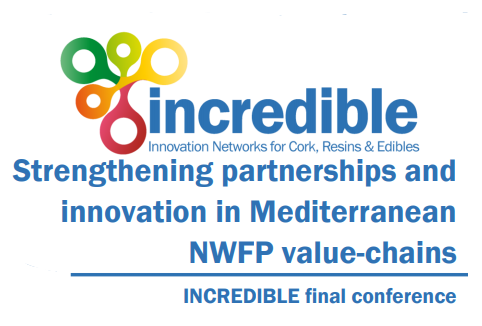 Incredible_FinalConf