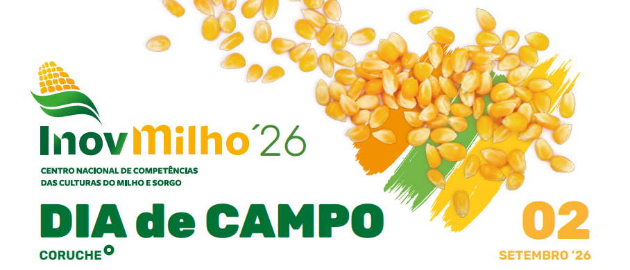 InovMilho_2Set