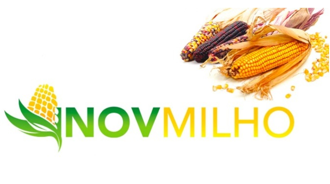 inovmilho_logo