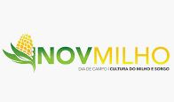 inovmilho