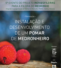 InstalacaoMedronhopq