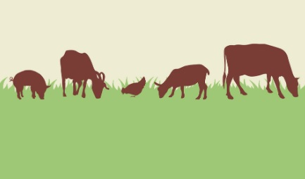 livestock