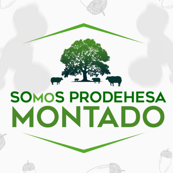 montado_prodehesa