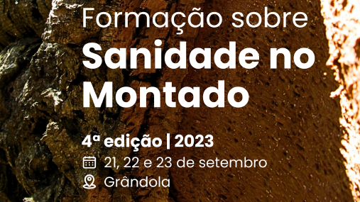 montado