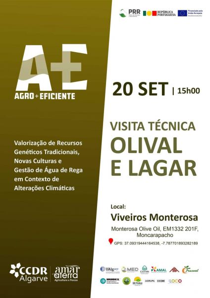 Olival_e_lagar