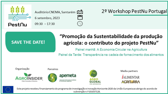 pestnu_2workshop