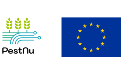 pestnu_proj
