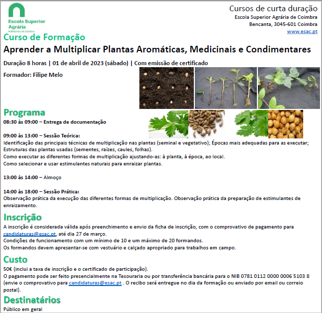plantasaromaticas
