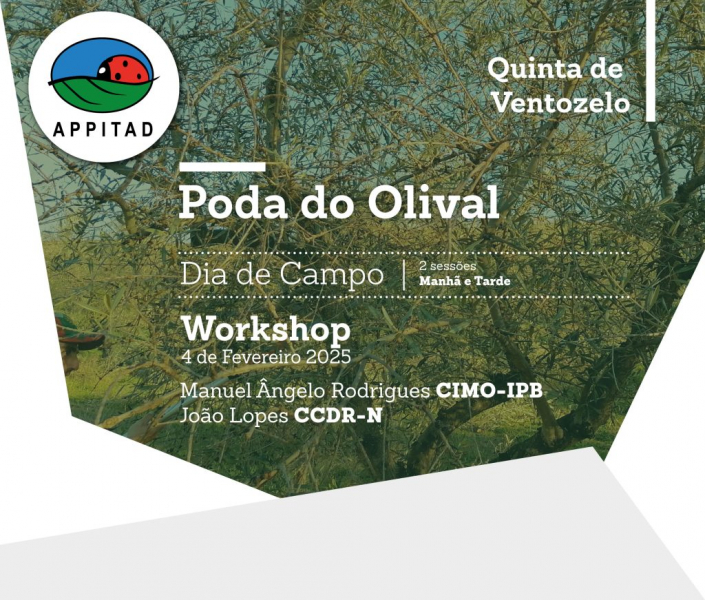 Poda-Olival-4-Fevereiro-v3-1024x871