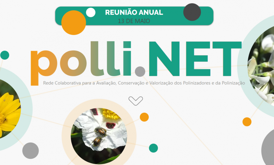 pollinet_reuniao_anual