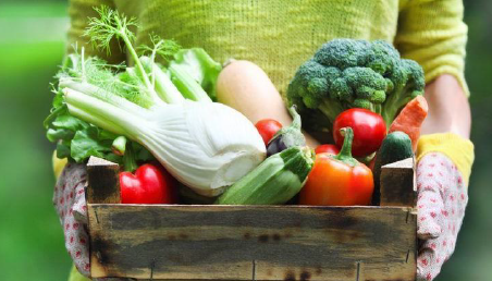rede_alimentar_local_mertola