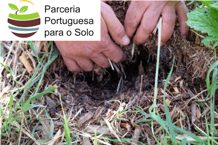 solo3