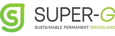 super-g-logo
