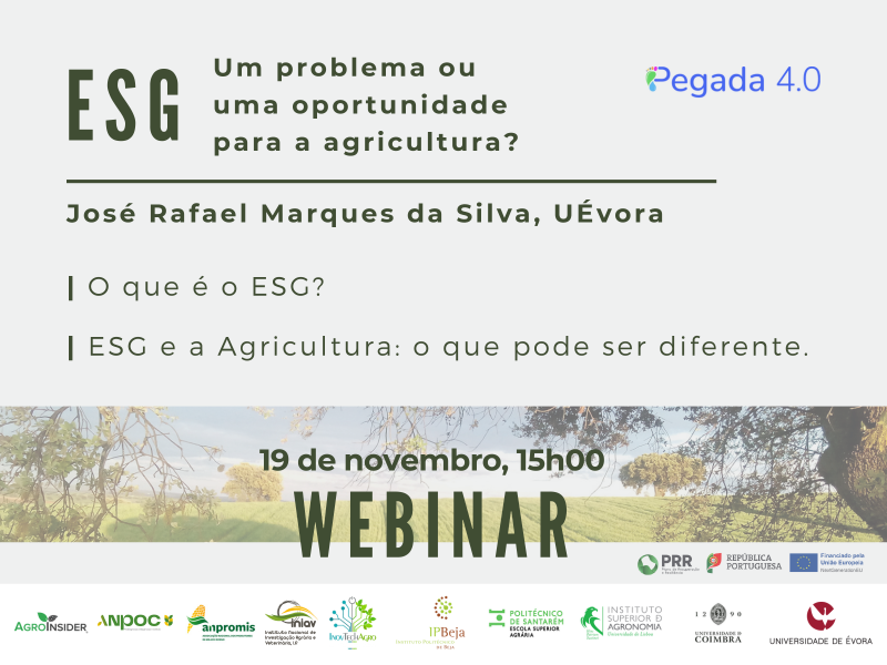 Webinar_ESG_19_11_2024