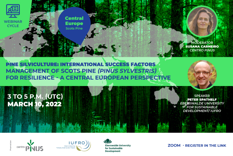 Webinar_finternacional_SITE