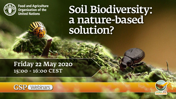 webinar_soil_diversity