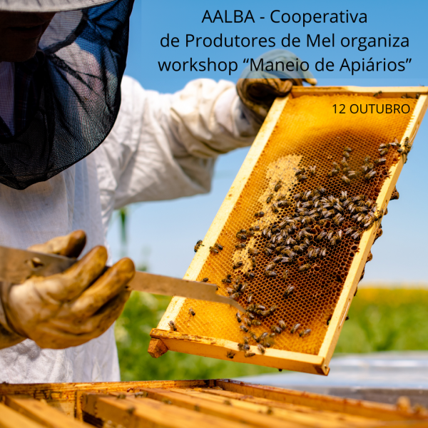 Workshop_apiários