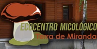 ecocentro micologico