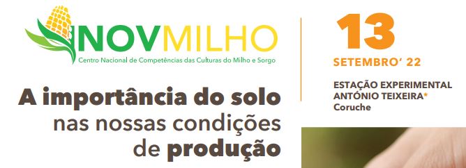 inovmilho