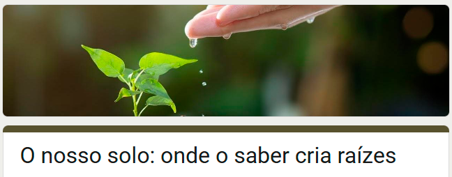 inquerito solo