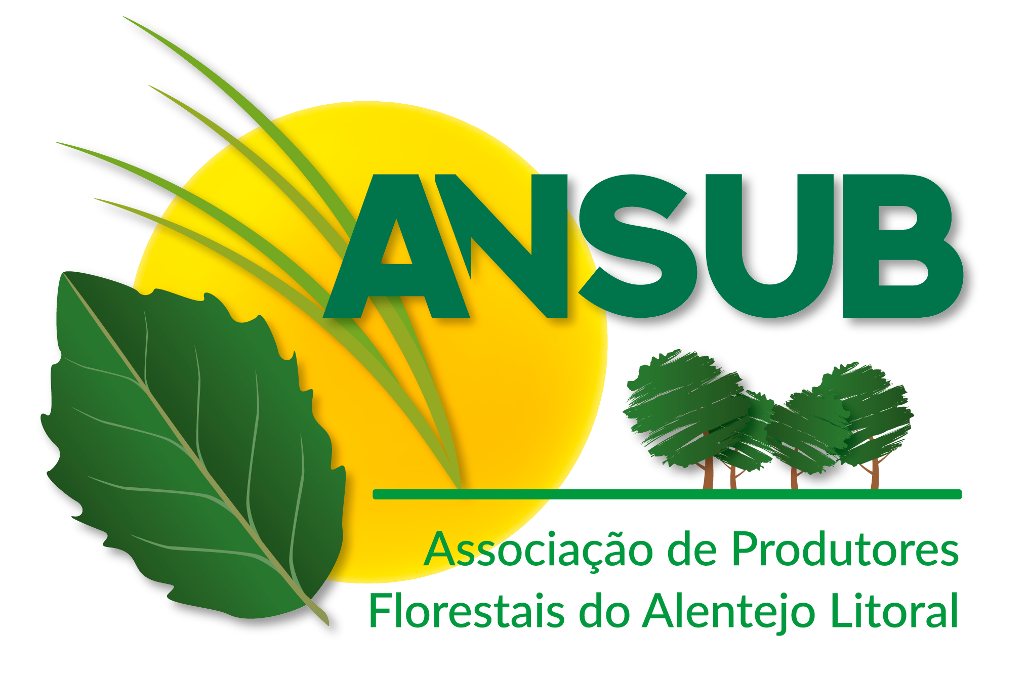 logo Ansub