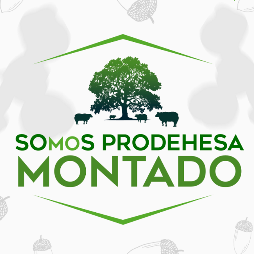 montado prodehesa