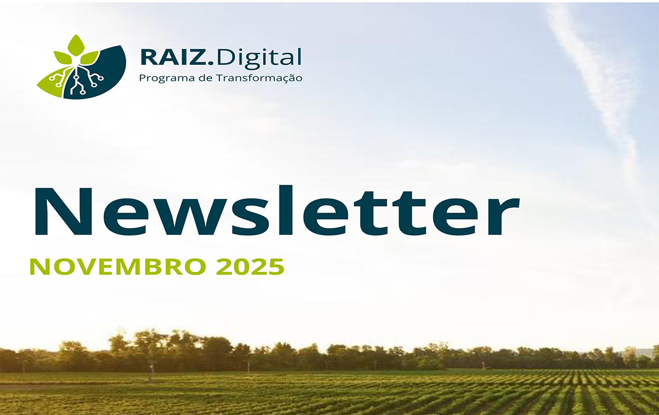 newsletter novembro 3