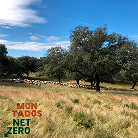 montados net zero 270x270