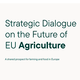 Dialogoestrategicoeuropa 270x270