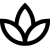 plant 50x50