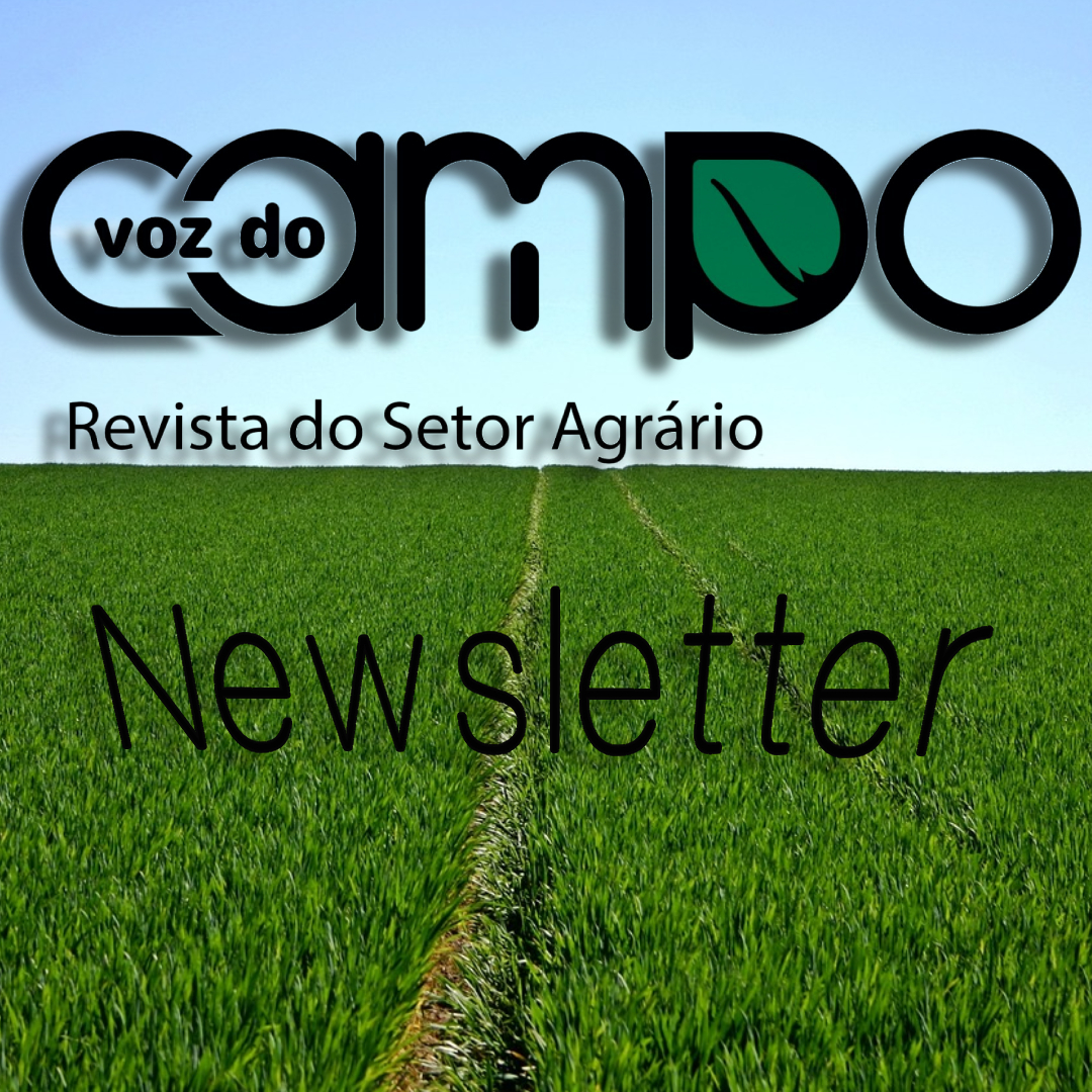 newsletter voz do campo