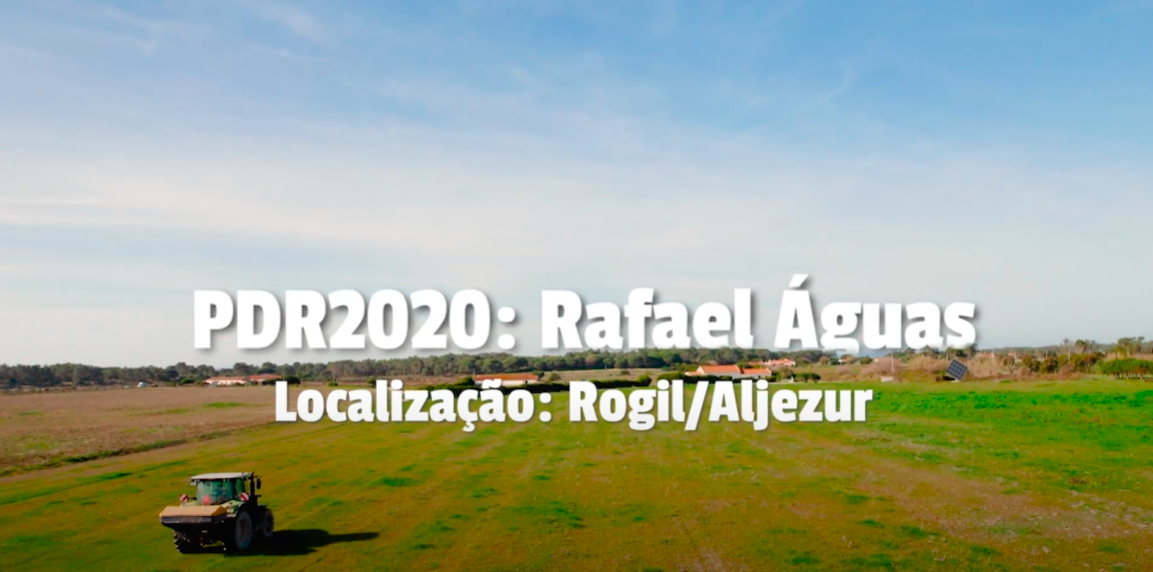 pdr algarve
