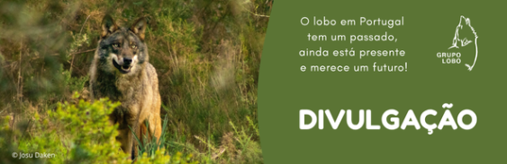 questionário floresta em Portugalpng