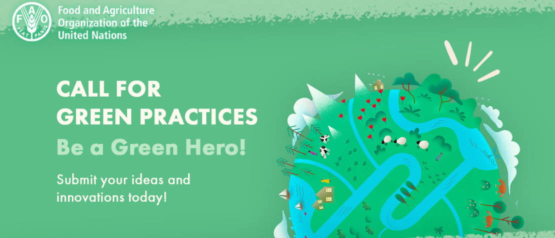 rtp ga call for green practices04a2da6eae15446892cdd31d5e78cdf0