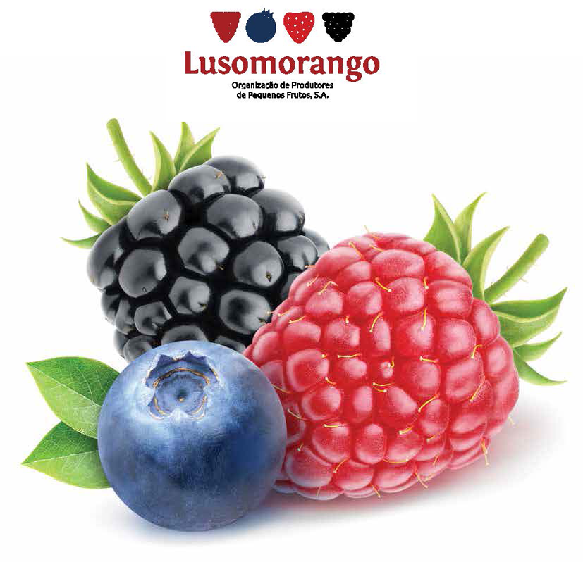 suplemento lusomorango n5