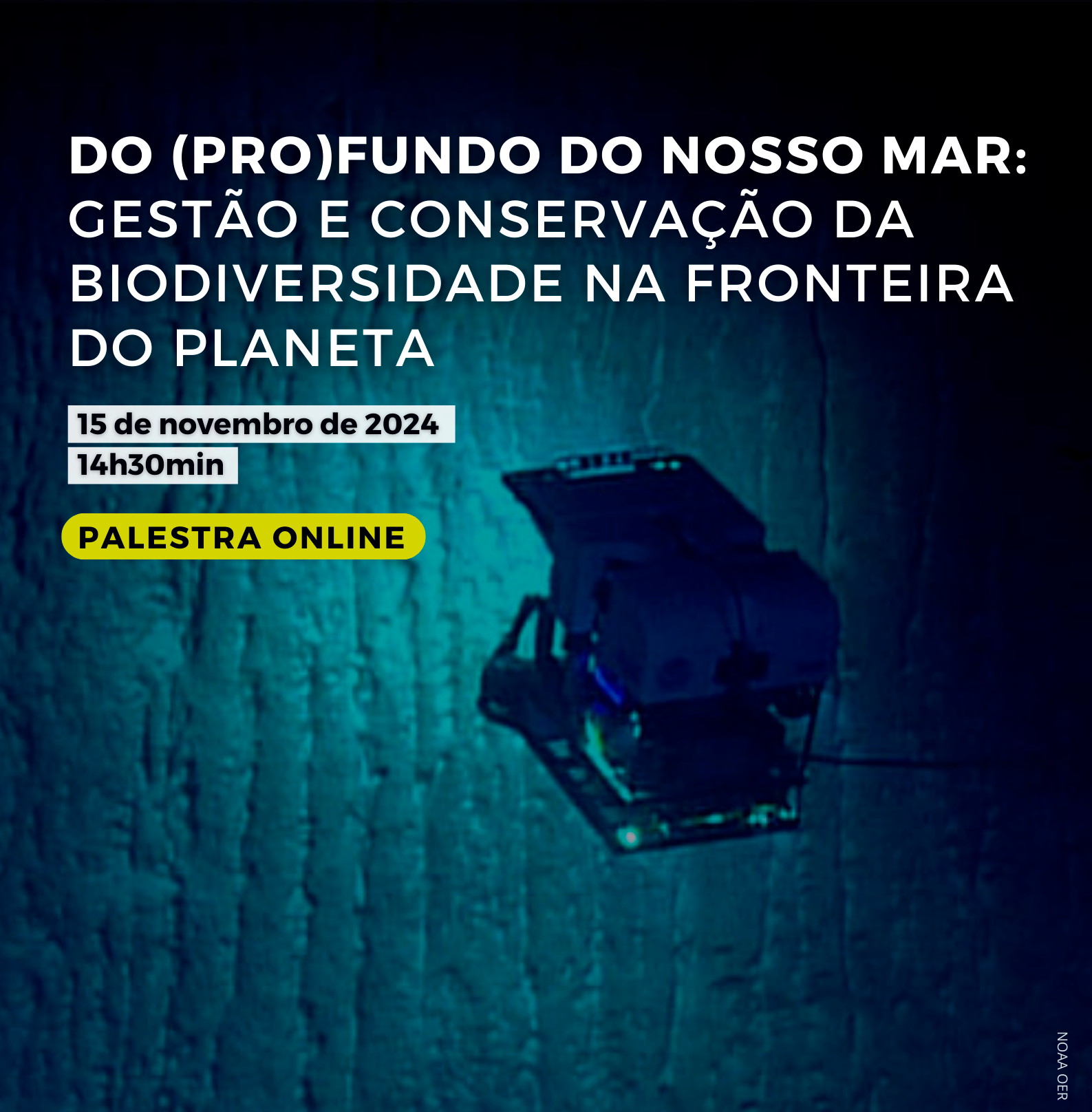 thumbnail Palestra CMIA 15nov24 2
