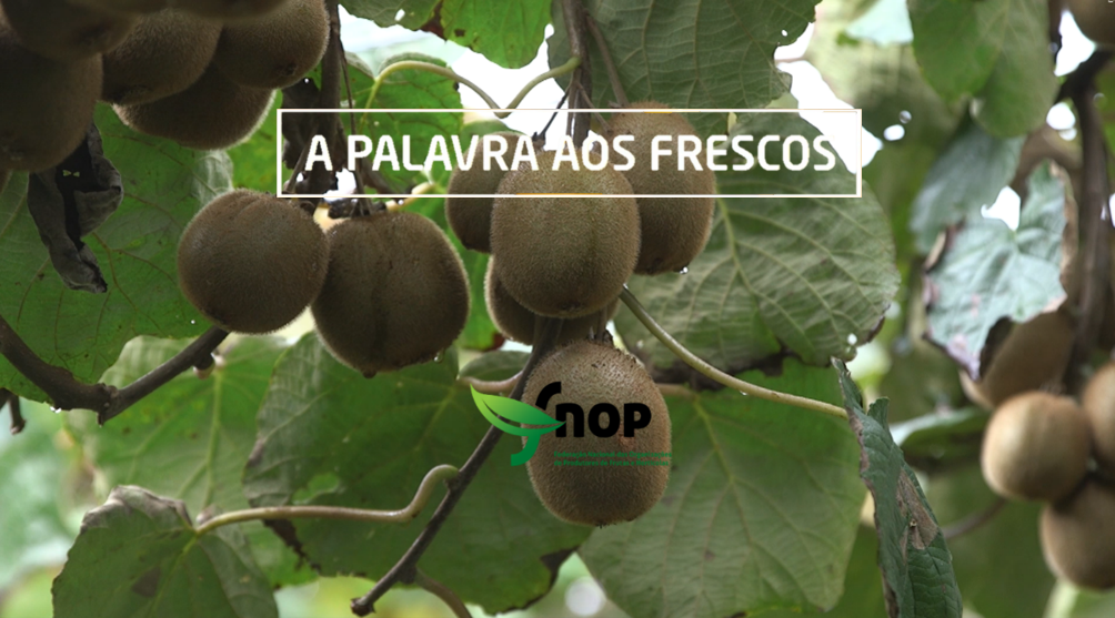 thumbnail image001 1