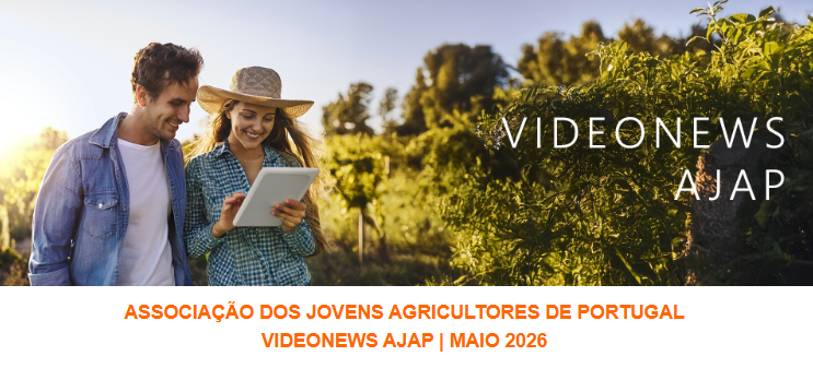 video ajap MAIO 2026