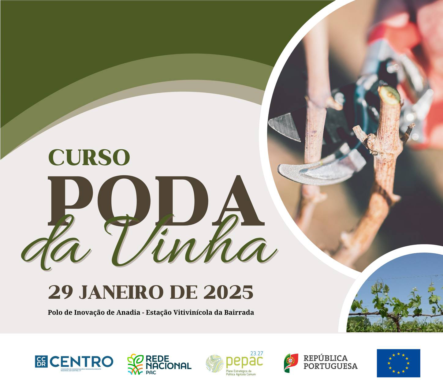 vinha