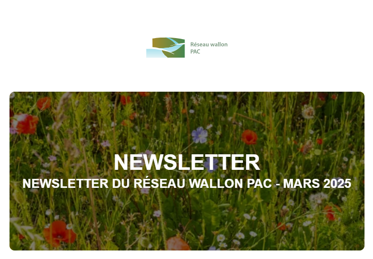 wallon pac