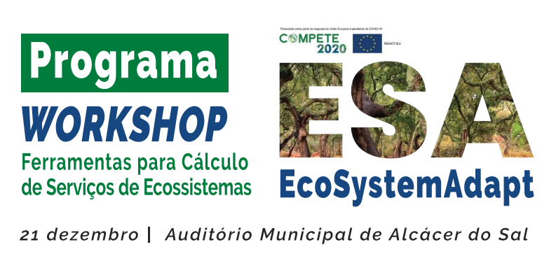 workshop esa