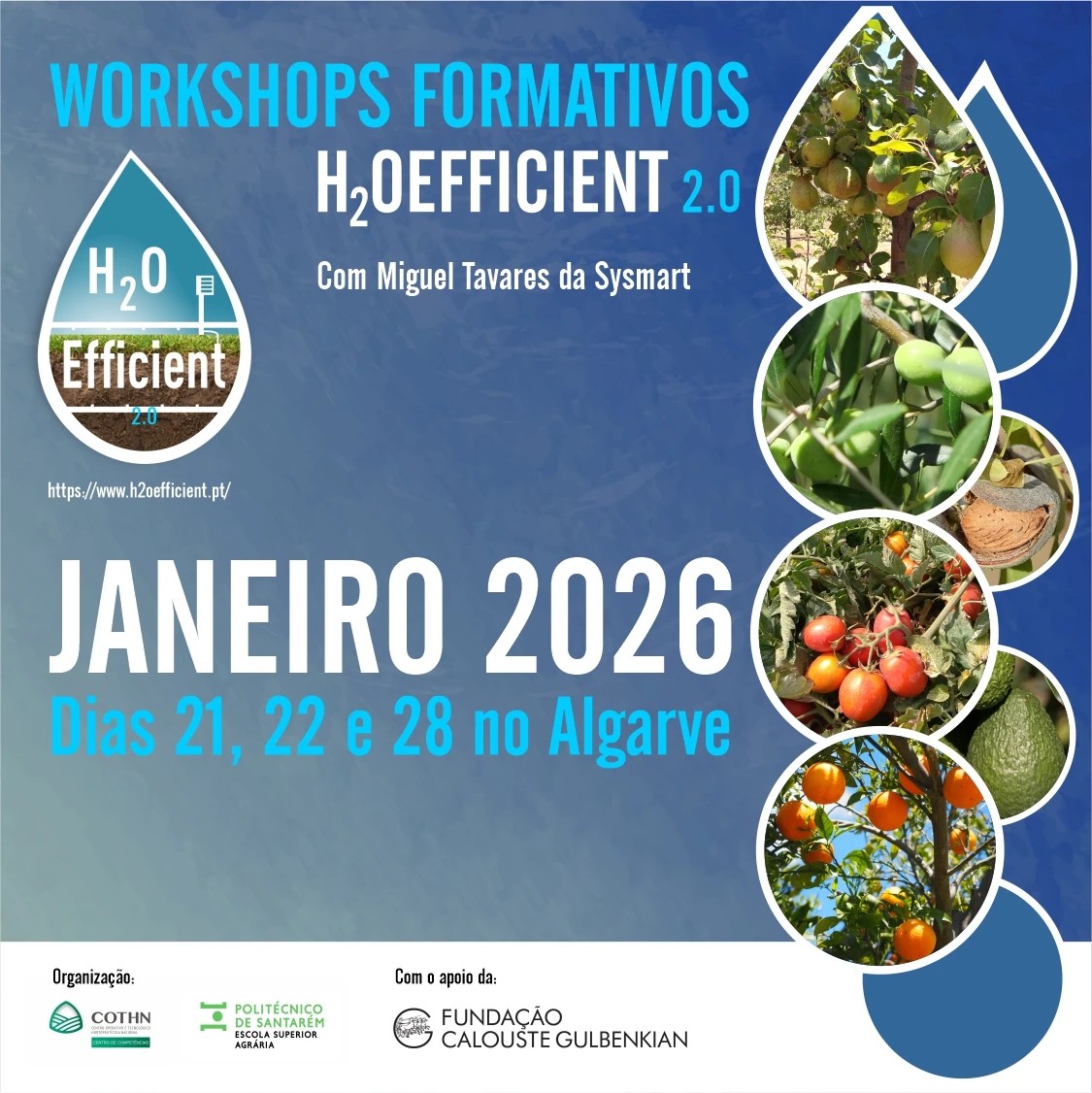 workshops H2oefficent